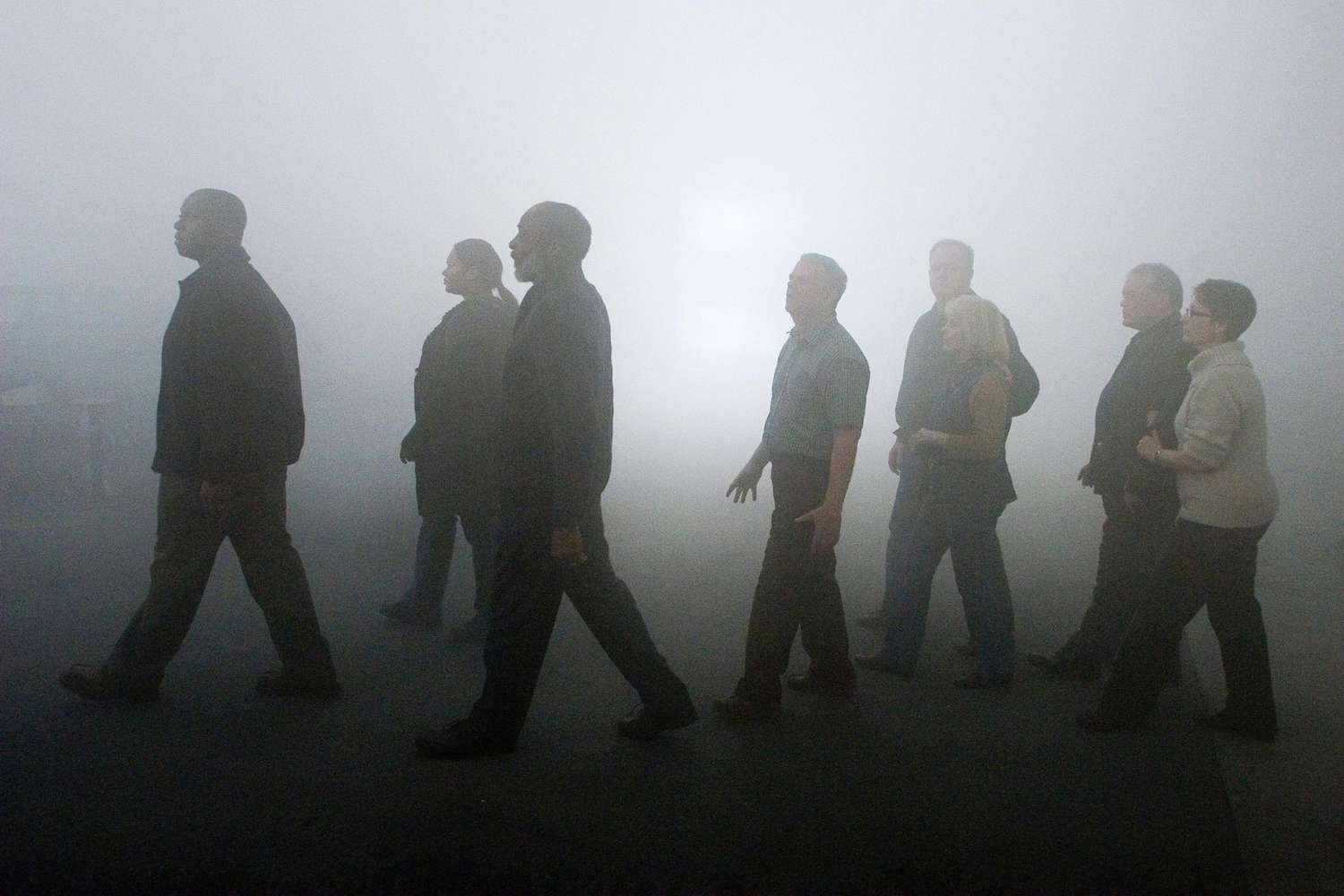 the mist 2007